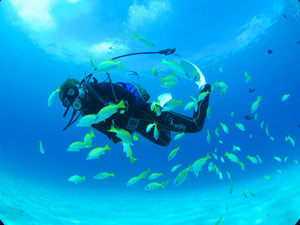 fundiving