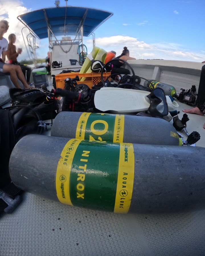 #livefishokinawa
#Nitrox32

Livefish OKINAWAではマクロ/ワイド問わず水中撮影の好きなダイバーに万座の海をご案内致します

海況が良くなり南風、が吹く季節になってきました。万座のボートダイビングは地形のポイントに行ける日が多くなります。

Livefishではフォトダイバーのガイドに力を入れています、特にマクロのダイビングは万座のエリアはオススメです、皆さん遊びに来てね

トップシーズンに入る恩納村、地形のポイント、ミニドリームは透明度抜群、体験ダイビングにファンダイビングに楽しめてます

ベテランダイバーも多いですが、ビギナーの皆さんも大歓迎です。カメラ片手にゆっくり潜れる方募集中♪

Nitrox32や冬のドライスーツを使用したファンダイビングもおすすめ。お気軽にお問い合わせ下さい

沖縄 恩納村のダイビングショップ　
Livefish OKINAWA
https://live-fish.jp
email:livefish@live-fish.jp
tel:098-955-2703

#onnason
#manza
#seragaki
#afuso
#okinawadiving
#divingphotography
#boatfundiving
#yamaguchi.naohisa
#ライブフィッシュ沖縄
#恩納村ダイビング
#万座
#瀬良垣
#安冨祖
#ナイトダイビング
#水中写真マクロ
#padiドライスーツspコース
#ドライスーツレンタル
#マクロフォトダイビング
#フォトダイバーと繋がりたい
